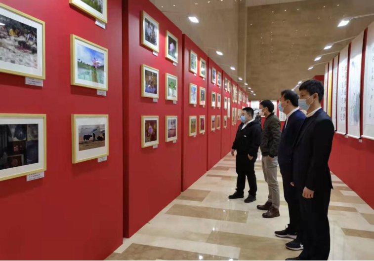 川發資管組織參觀“說廉、倡廉、行廉” 文化作品展覽